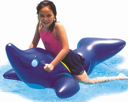 dolphin rider,animal rider