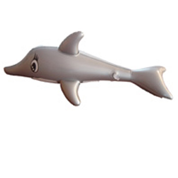 dolphin,animal species