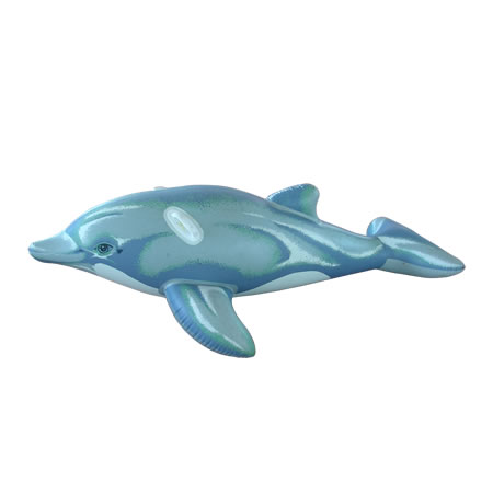 dolphin rider,animal rider