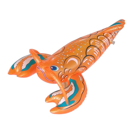shrimp,animal species