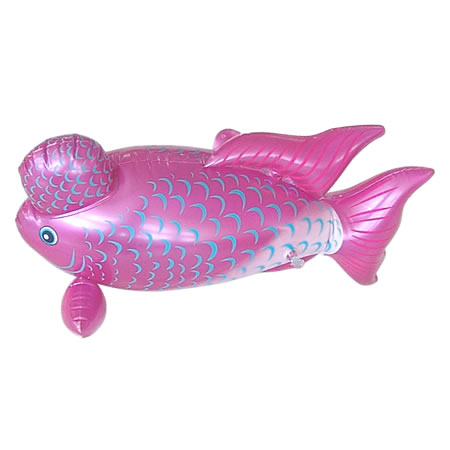fish,animal species