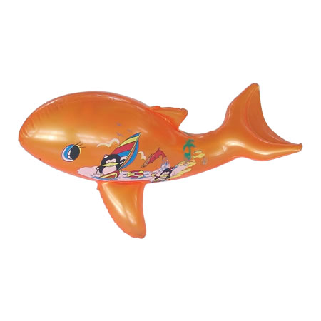 dolphin,animal species